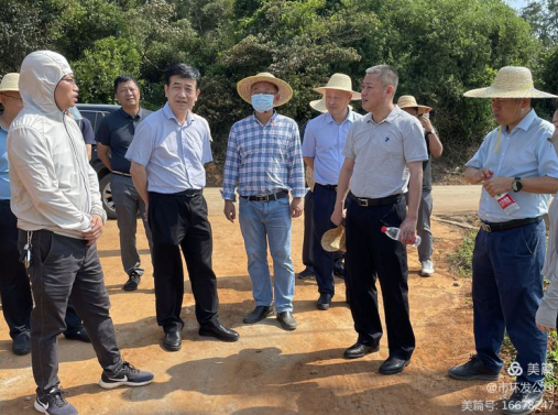 ?？谑凶匀毁Y源和規劃局局長(cháng)吳雄帶隊調研龍灣片區土地整治項目